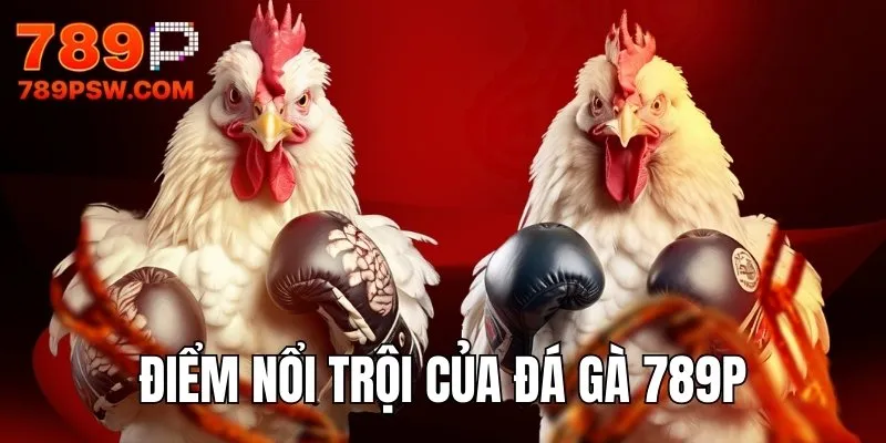 Điểm nổi trội đánh giá cao của chọi kê 789P